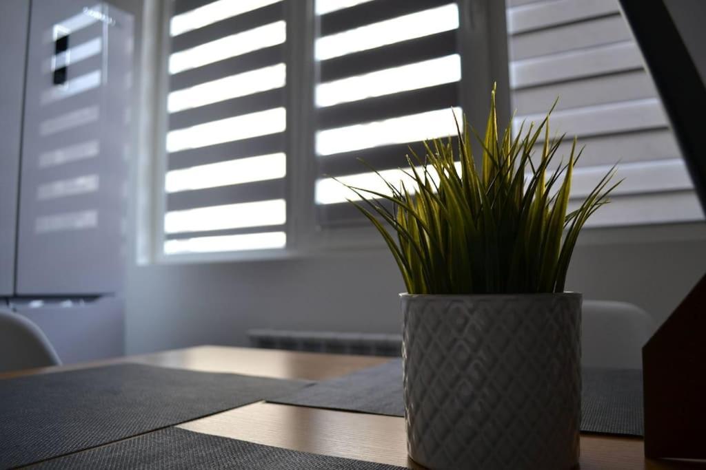 Modern City Center 2 Bedroom Apartment صوفيا المظهر الخارجي الصورة